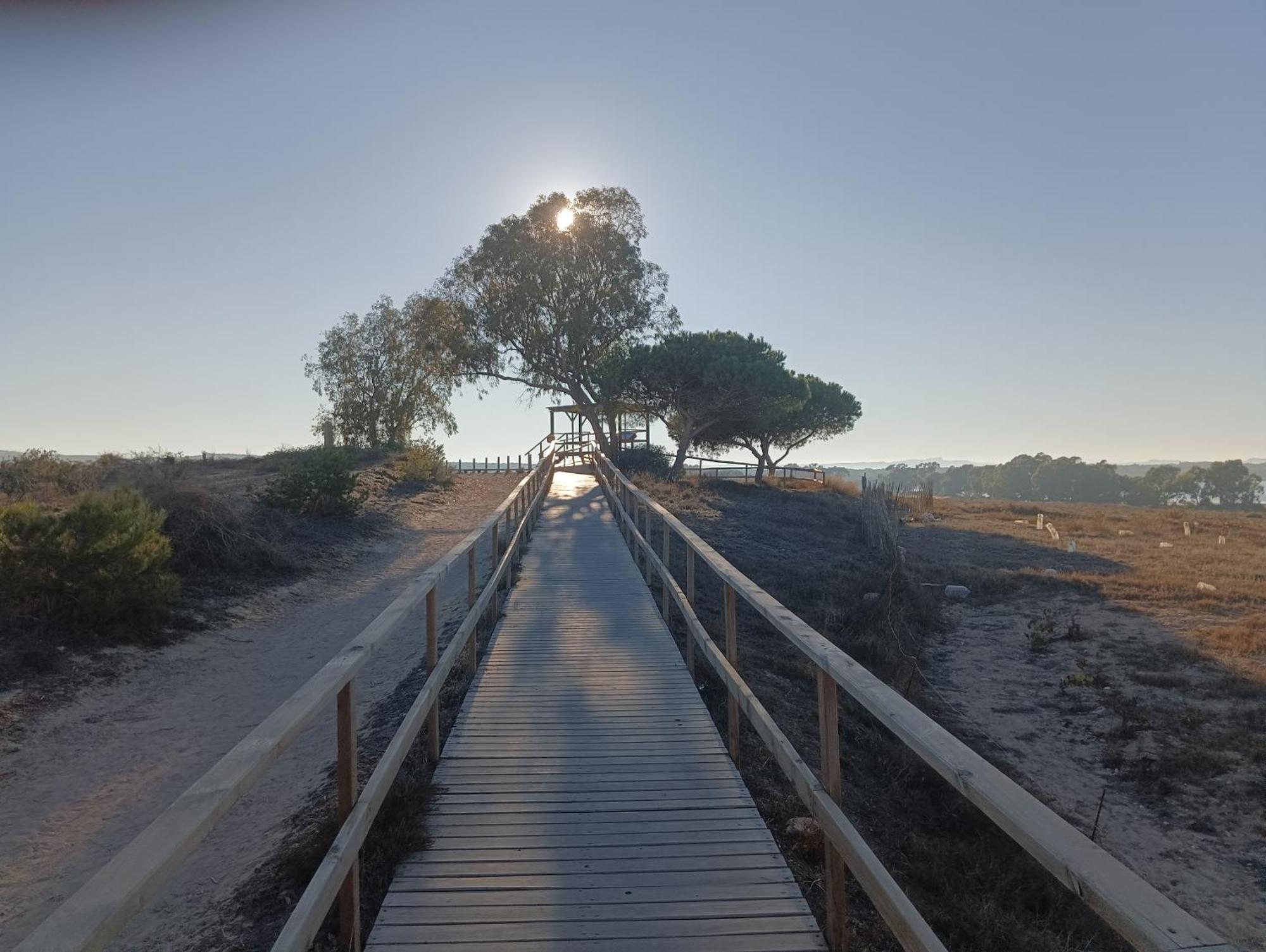 Bonito Apartamento 150 M De La Playa La Mata 拉马他 外观 照片