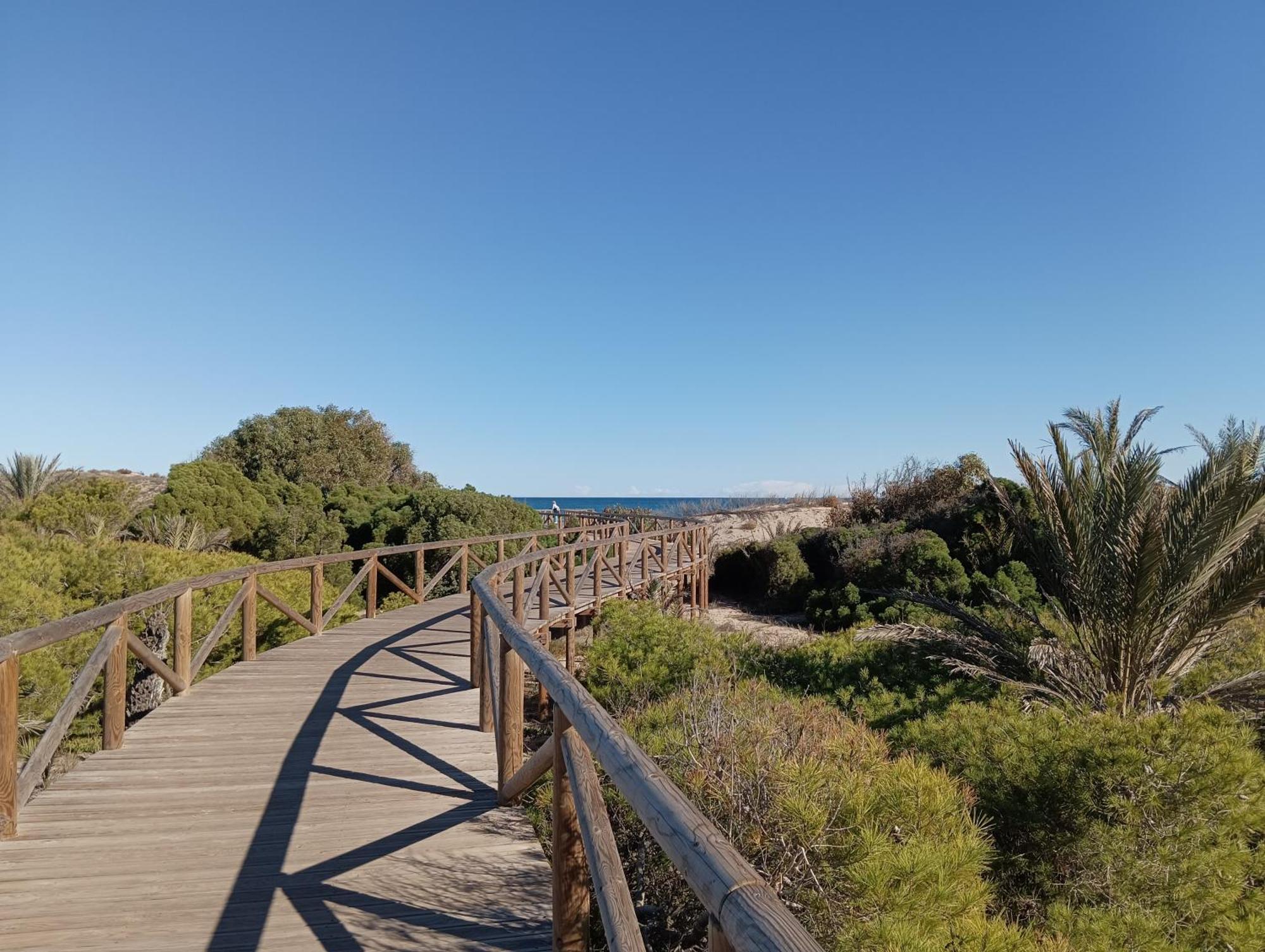 Bonito Apartamento 150 M De La Playa La Mata 拉马他 外观 照片
