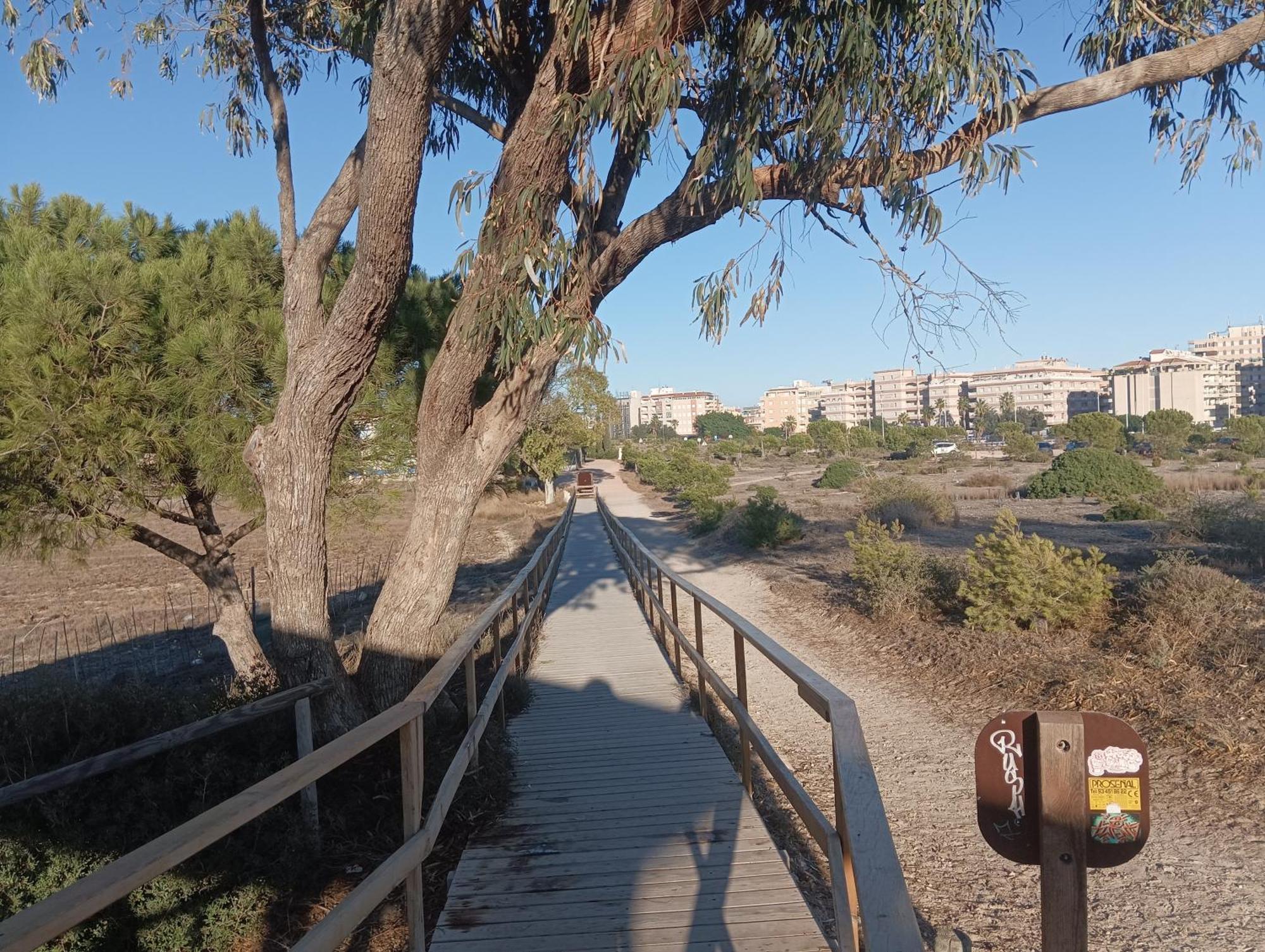 Bonito Apartamento 150 M De La Playa La Mata 拉马他 外观 照片
