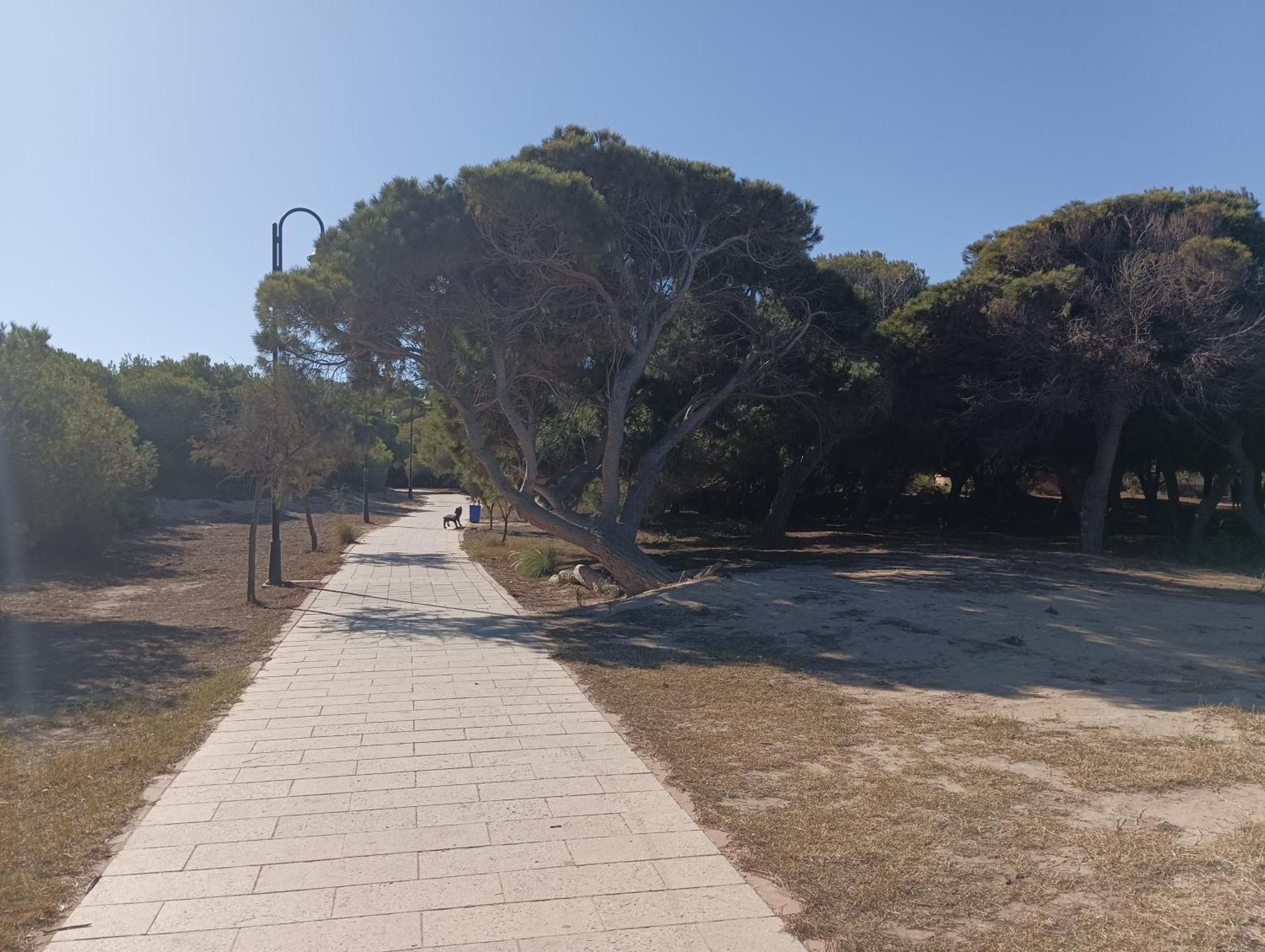 Bonito Apartamento 150 M De La Playa La Mata 拉马他 外观 照片