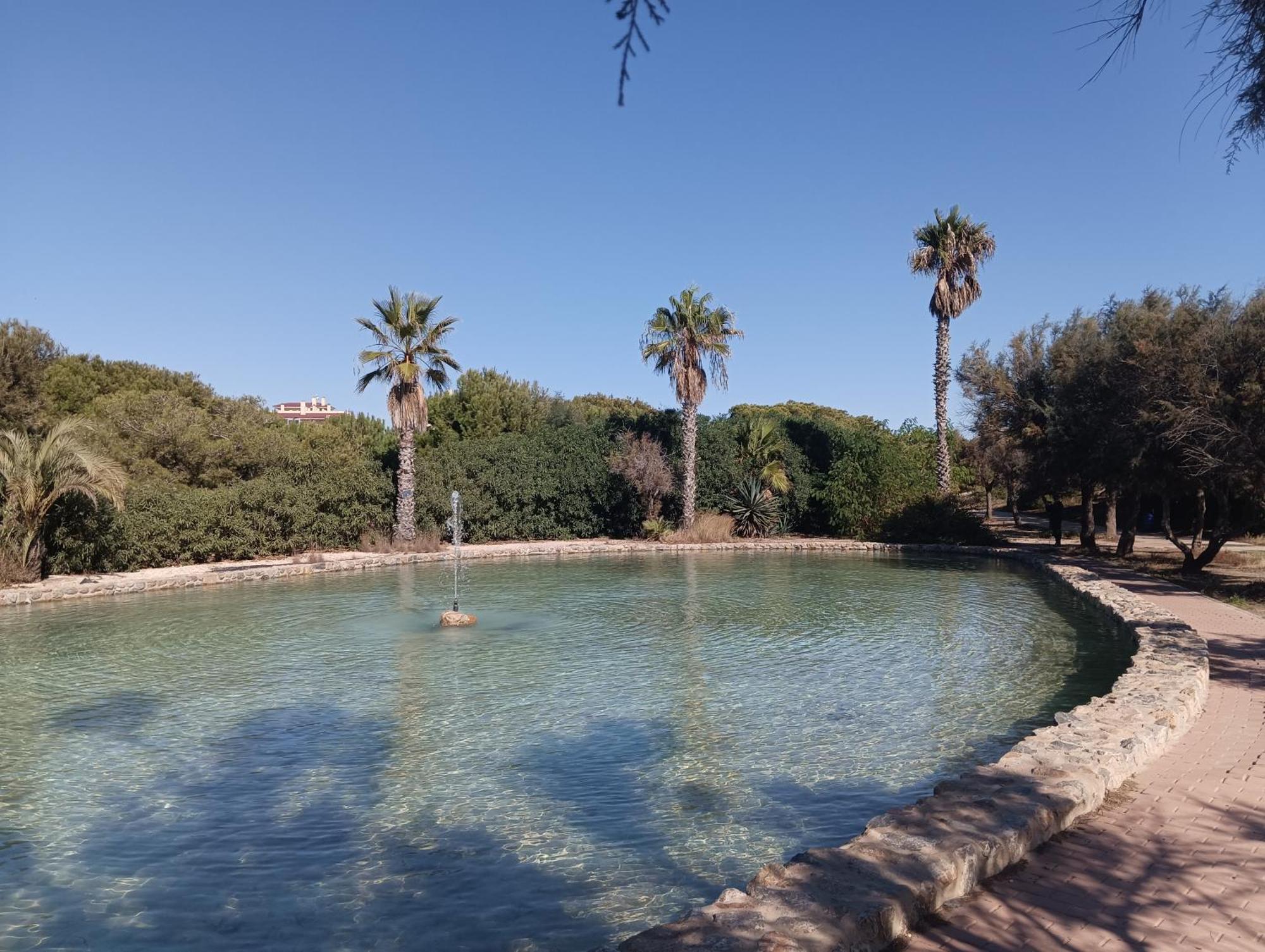 Bonito Apartamento 150 M De La Playa La Mata 拉马他 外观 照片