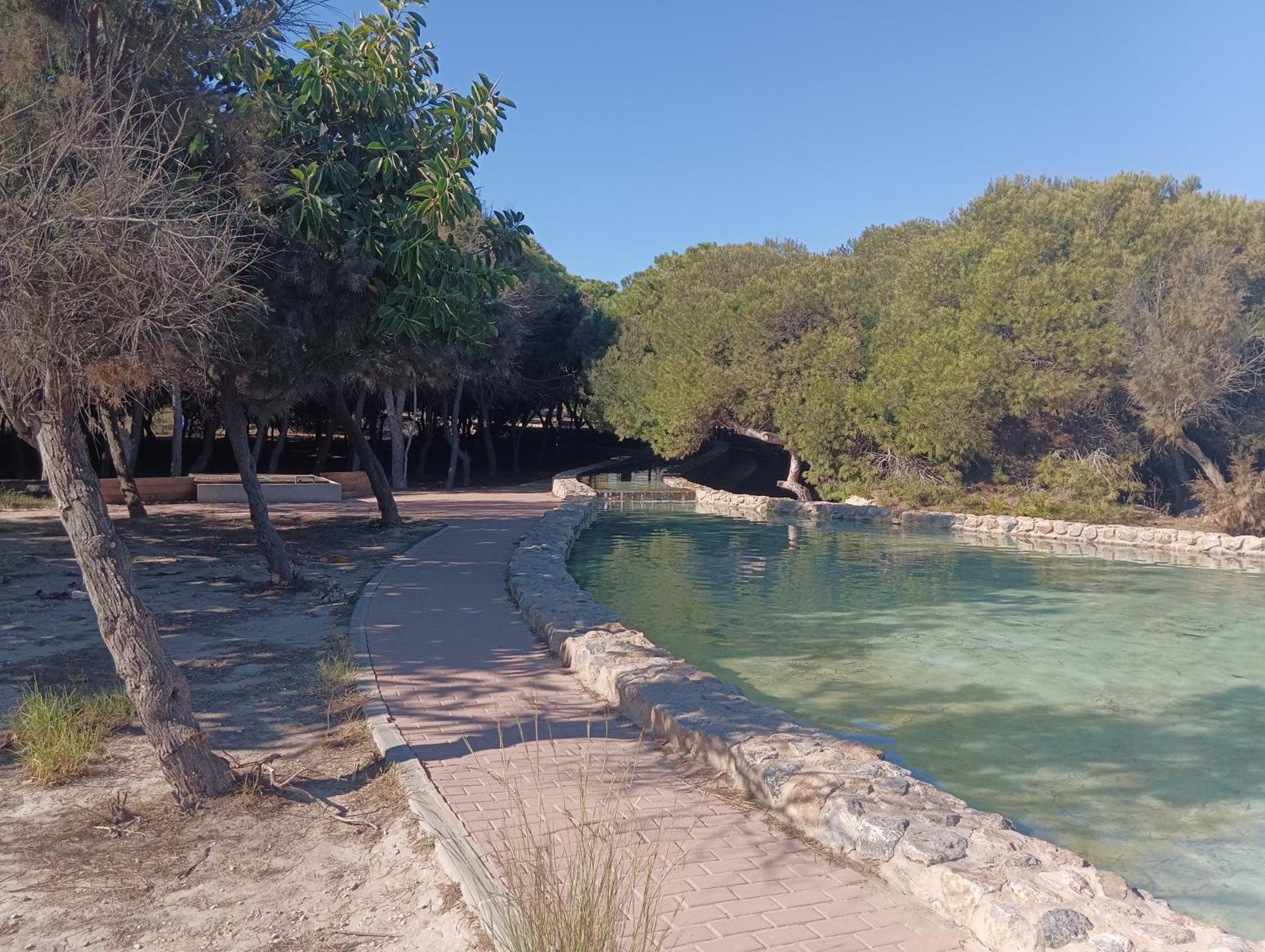 Bonito Apartamento 150 M De La Playa La Mata 拉马他 外观 照片